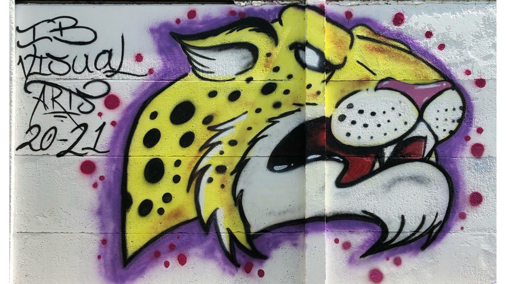 visual-arts-ib-jaguar